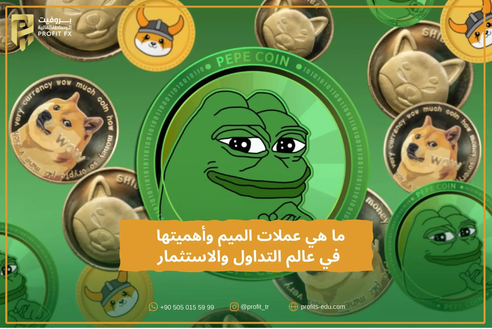 ما هي عملات الميم وأهميتها في عالم التداول والاستثمار
