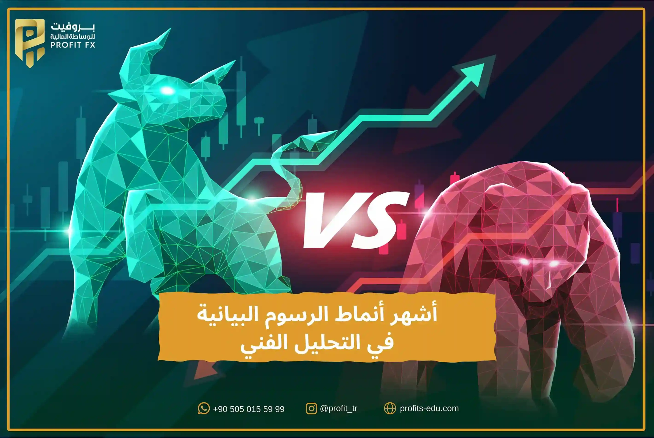 أشهر انماط الرسوم البيانية