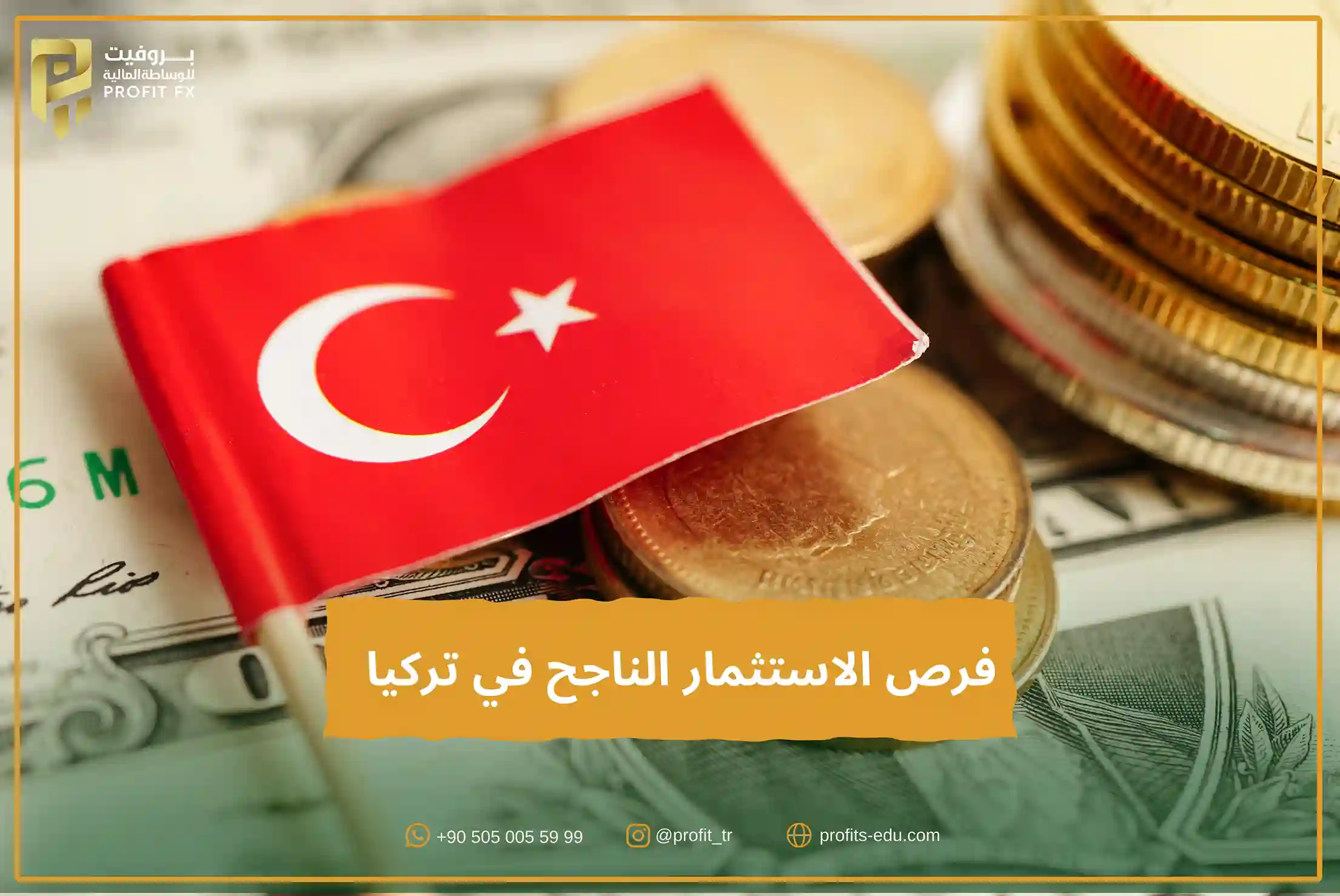 فرص الاستثمار الناجح في تركيا  