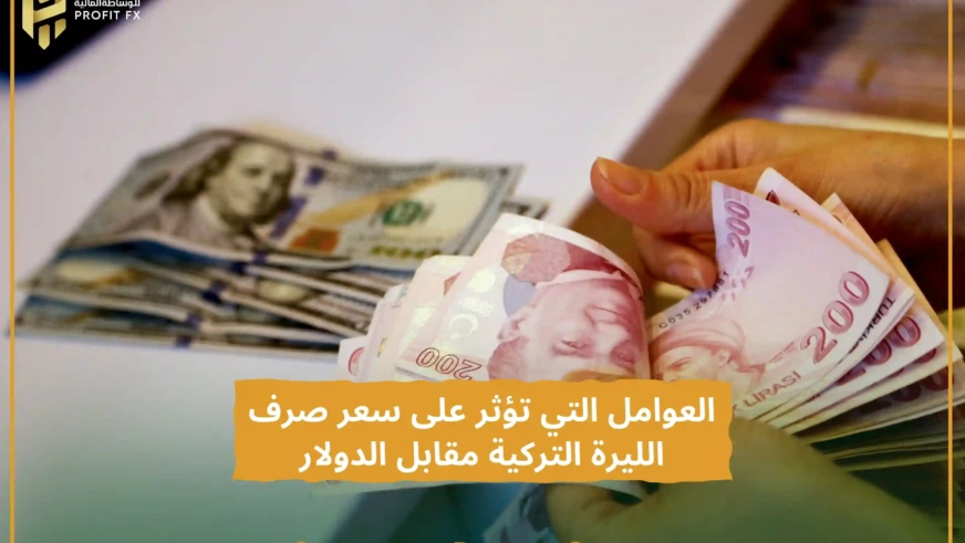 العوامل التي تؤثر على سعر صرف الليرة التركية مقابل الدولار